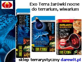 exo terra żarówki nocne do terrarium darewit